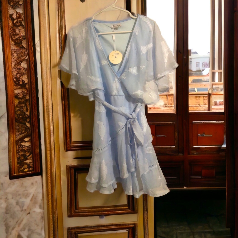 NWT TwoSisters The Label size 2 US XS Light Blue Chiffon dress with liner slip